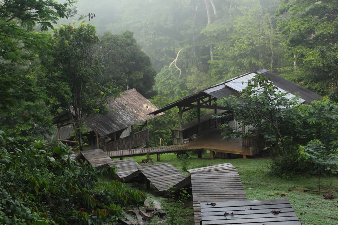 Station CNRS des Nouragues en Guyane