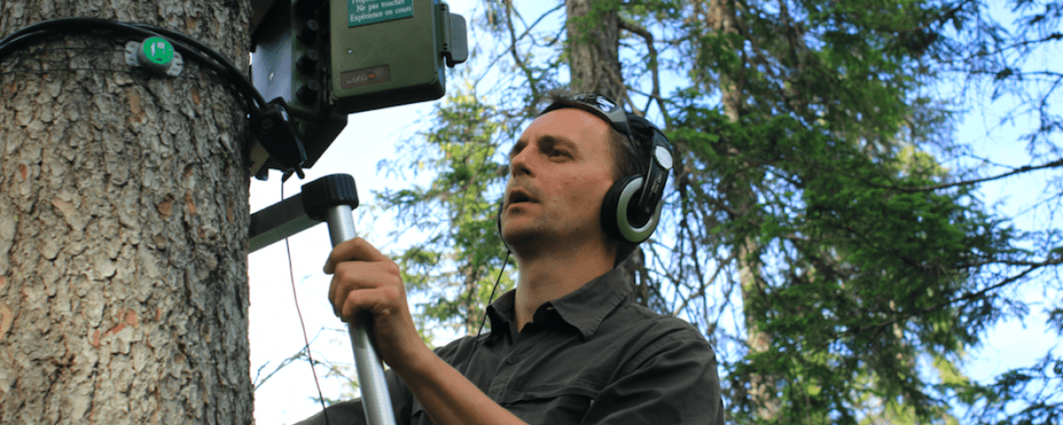 L'éco-acousticien Jérôme Sueur